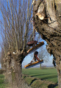 schaatsen-aan-de-wilgen